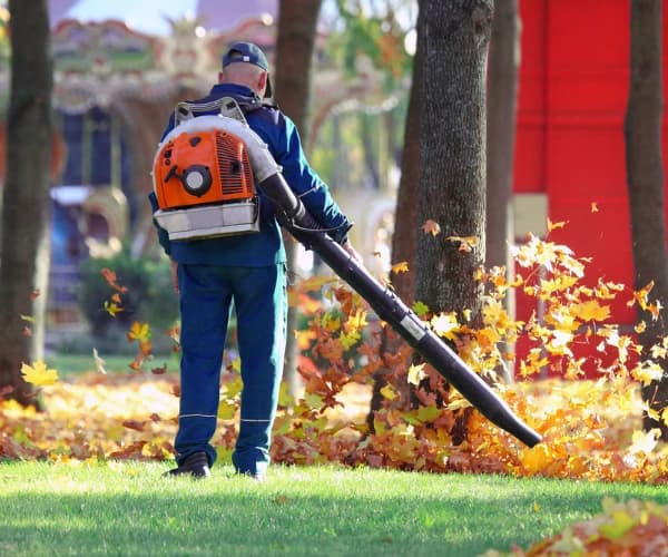 Yard Clean-up